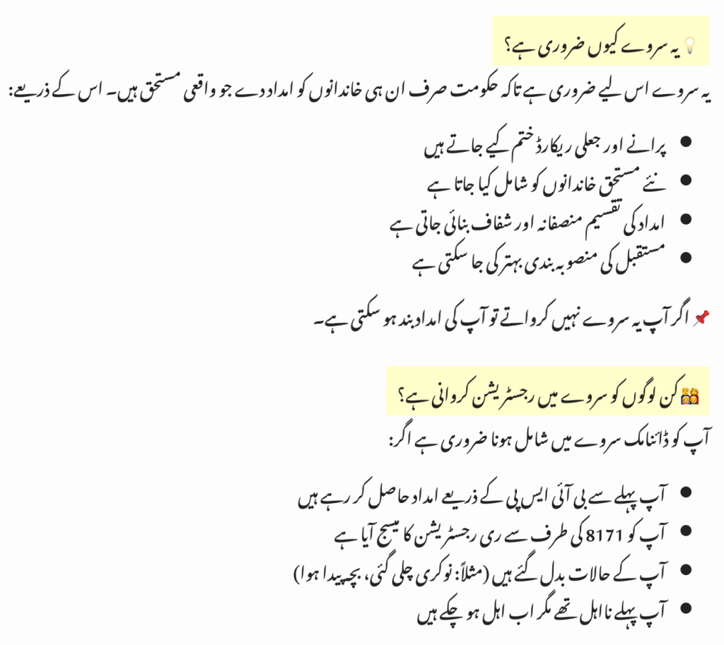 BISP Dynamic Survey 2025