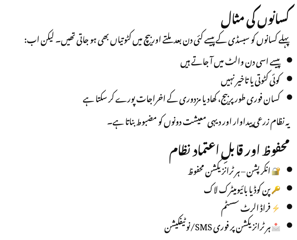 How the Mobile Wallet System Works