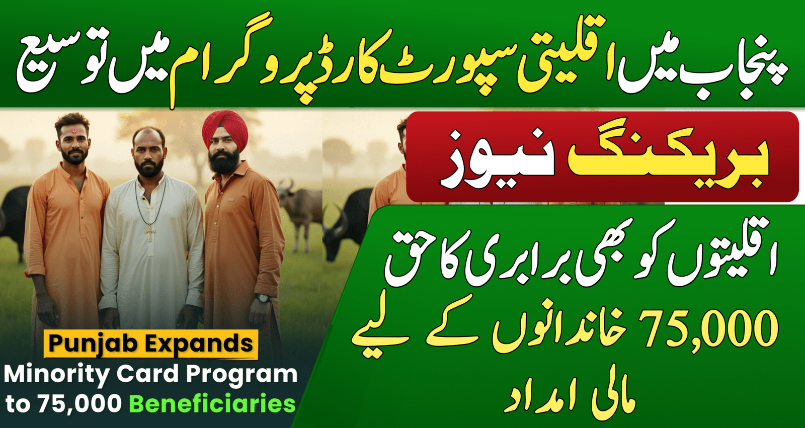 Minority Support Card Program