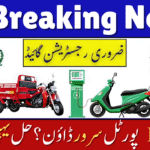 PAVE Gov PK Server Down